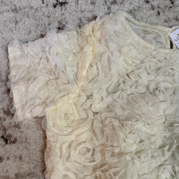 BNWT LOFT Cream Floral Tulle Blouse. Size S. - Picture 4 of 7